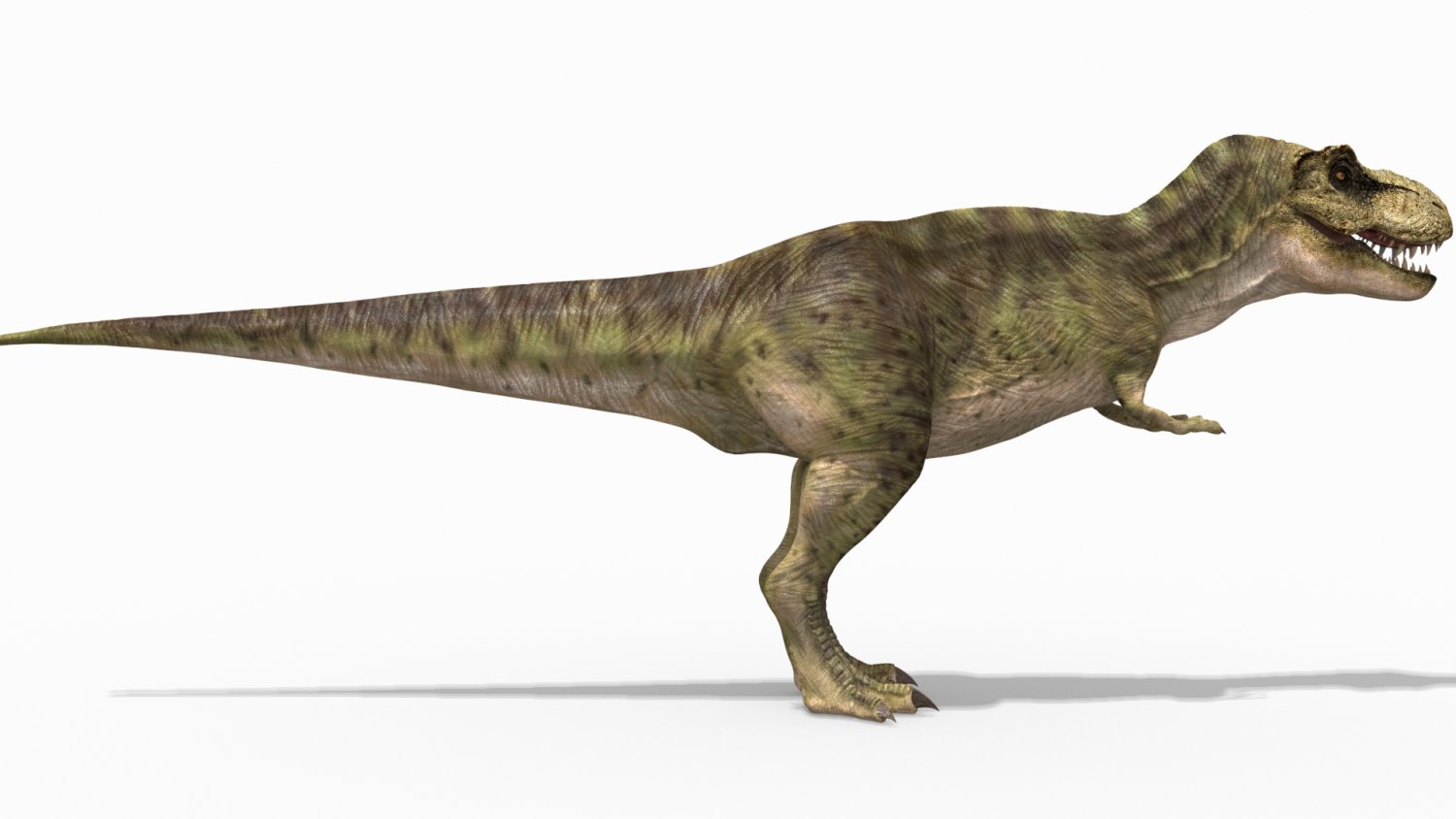 game ready dinosaur trex 3D Model in Dinosaur 3DExport