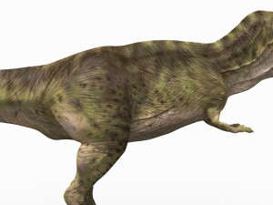 the t rex - 8k 3D 모델