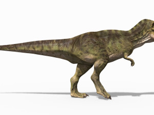 the t rex - 8k 3D 모델