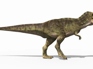 the t rex - 8k 3D Model