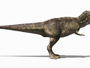 the t rex - 8k 3D 모델