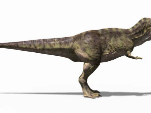 the t rex - 8k 3D Model