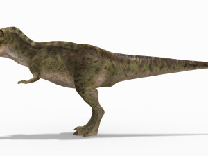 the t rex - 8k 3D 모델