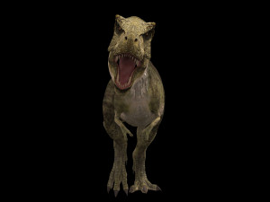 the t rex - 8k 3D 모델