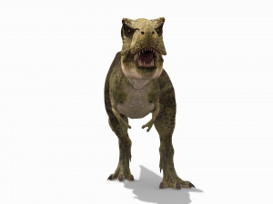 the t rex - 8k 3D 모델