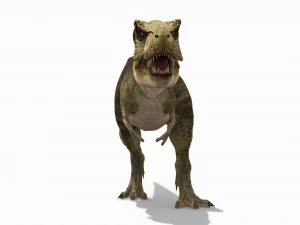 the t rex - 8k 3D Model