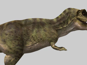 the t rex - 8k 3D Model