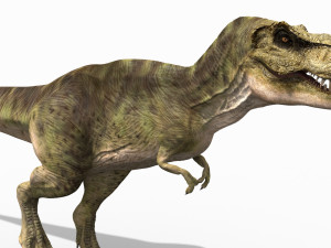 the t rex - 8k 3D 모델