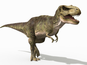 the t rex - 8k 3D 모델