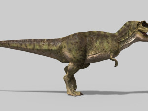 the t rex - 8k 3D 모델