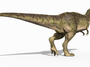 the t rex - 8k 3D 모델