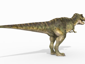 t rex forever - 8k 3D Model