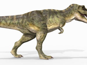 t rex forever - 8k 3D Model