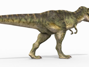 t rex forever - 8k 3D Model