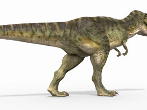 t-rex para sempre - 8k Modelo 3D