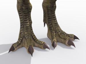 t rex forever - 8k 3D Model