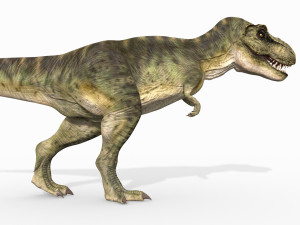 t rex forever - 8k 3D Model