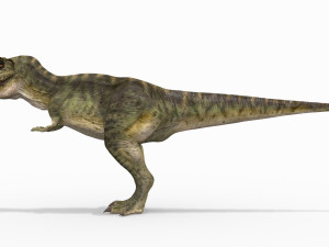 t rex forever - 8k 3D Model