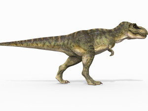 t rex forever - 8k 3D Model