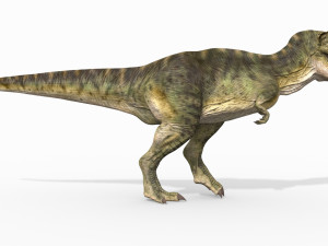 t rex forever - 8k 3D Model