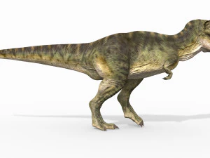 t-rex para sempre - 8k Modelo 3D