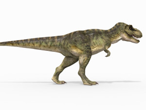 t rex forever - 8k 3D Model