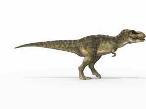 t-rex para sempre - 8k Modelo 3D