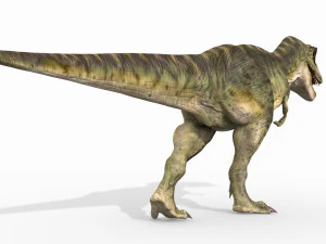 t-rex para sempre - 8k Modelo 3D