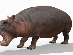 super hippo 8k - animated Model 3D