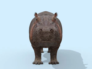 hipop&oacute;tamo selvagem 8k - animado Modelo 3D