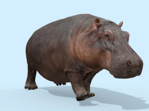 hipop&oacute;tamo selvagem 8k - animado Modelo 3D
