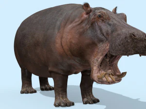hipop&oacute;tamo selvagem 8k - animado Modelo 3D