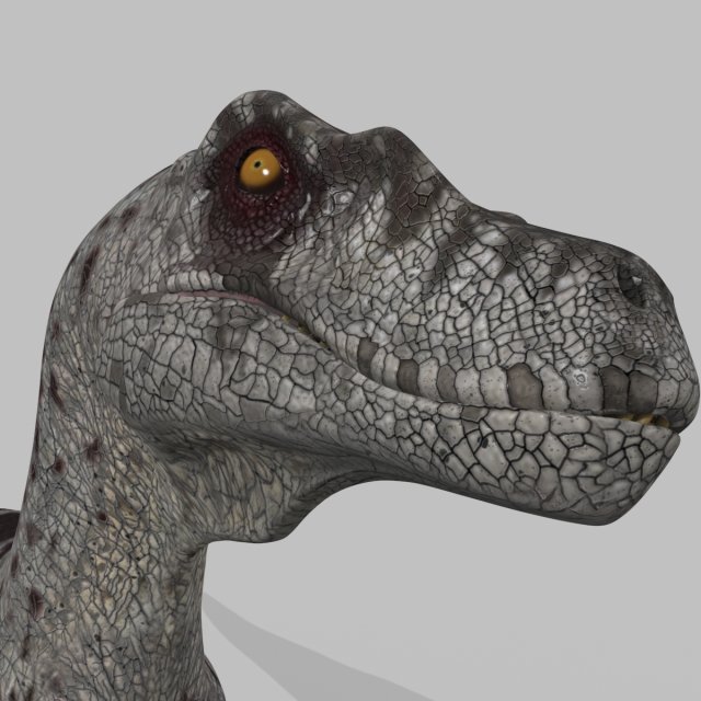 female alpha raptor - 8k 3D Модель .c4d .max .obj .3ds .fbx .stl .blend 