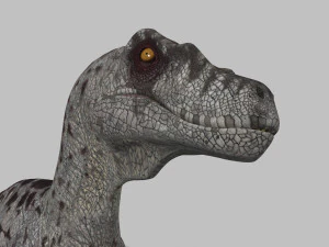 female alpha raptor - 8k 3D Model