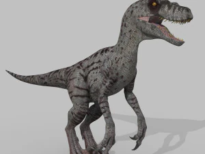 female alpha raptor - 8k 3D Model