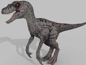 female alpha raptor - 8k 3D Модель