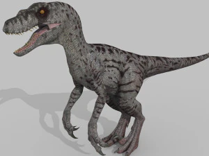 female alpha raptor - 8k 3D Model