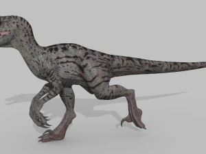 female alpha raptor - 8k 3D Model