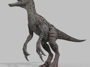 female alpha raptor - 8k 3D Model