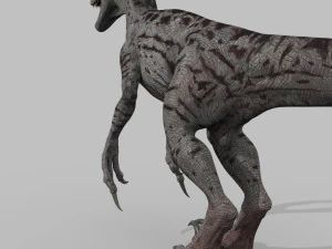 female alpha raptor - 8k 3D Model