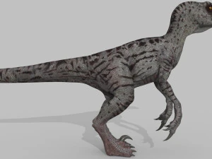 female alpha raptor - 8k 3D Model
