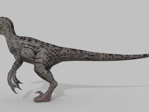 female alpha raptor - 8k 3D Model