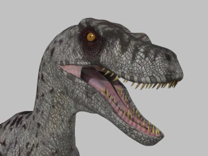 female alpha raptor - 8k 3D Model