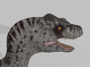 female alpha raptor - 8k 3D Модель