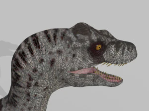 female alpha raptor - 8k 3D Model