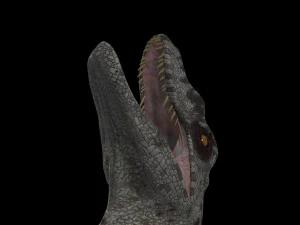 female alpha raptor - 8k 3D Model