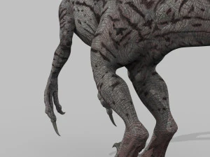female alpha raptor - 8k 3D Model