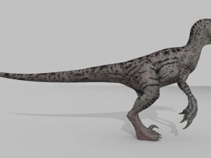 female alpha raptor - 8k 3D Model