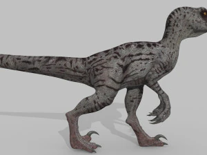 female alpha raptor - 8k 3D Model
