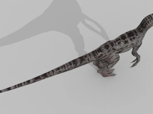 female alpha raptor - 8k 3D Model